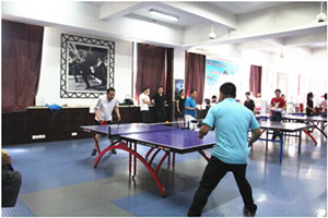 新宝GG—创立事业平台